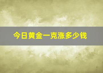 今日黄金一克涨多少钱