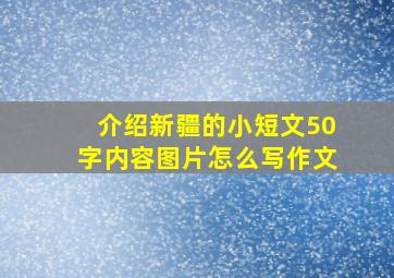 介绍新疆的小短文50字内容图片怎么写作文