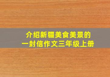 介绍新疆美食美景的一封信作文三年级上册