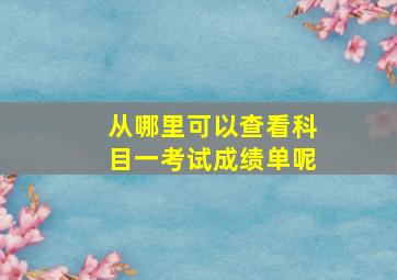 从哪里可以查看科目一考试成绩单呢