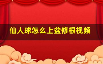 仙人球怎么上盆修根视频