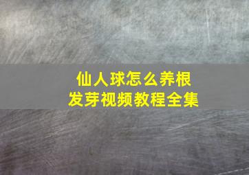 仙人球怎么养根发芽视频教程全集