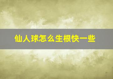 仙人球怎么生根快一些