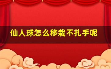 仙人球怎么移栽不扎手呢