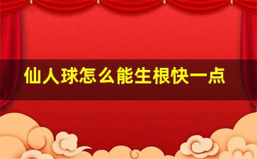 仙人球怎么能生根快一点