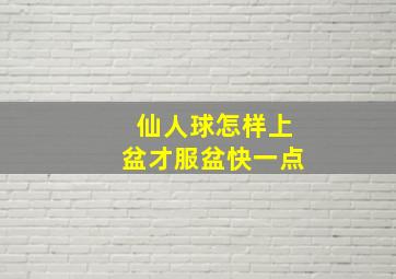 仙人球怎样上盆才服盆快一点