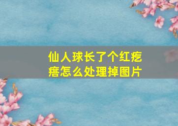 仙人球长了个红疙瘩怎么处理掉图片