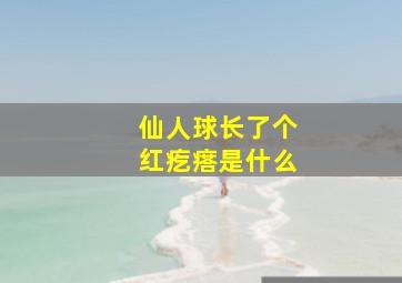 仙人球长了个红疙瘩是什么