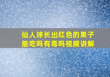 仙人球长出红色的果子能吃吗有毒吗视频讲解