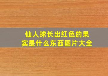 仙人球长出红色的果实是什么东西图片大全