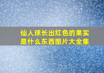 仙人球长出红色的果实是什么东西图片大全集