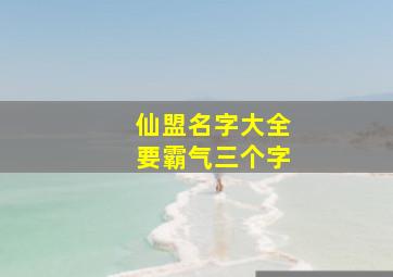 仙盟名字大全要霸气三个字