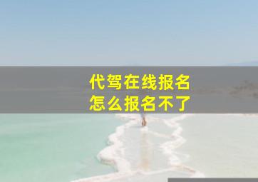 代驾在线报名怎么报名不了