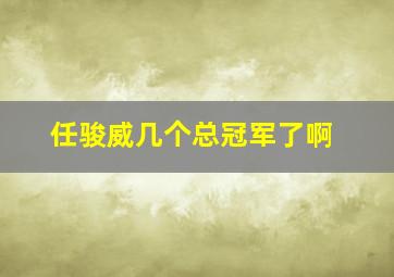 任骏威几个总冠军了啊