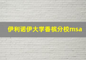 伊利诺伊大学香槟分校msa