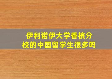 伊利诺伊大学香槟分校的中国留学生很多吗