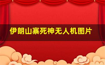 伊朗山寨死神无人机图片