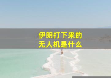 伊朗打下来的无人机是什么