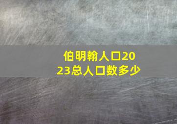 伯明翰人口2023总人口数多少