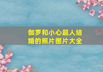 伽罗和小心超人结婚的照片图片大全