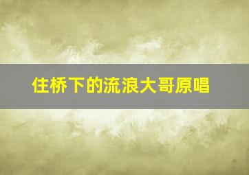 住桥下的流浪大哥原唱