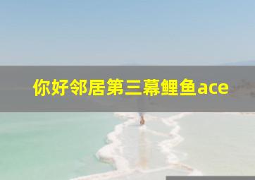 你好邻居第三幕鲤鱼ace