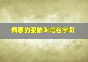 佩恩的眼睛叫啥名字啊