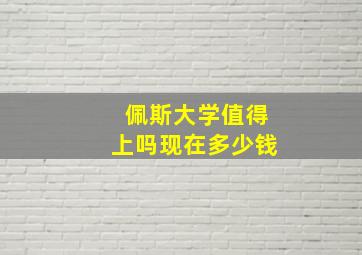 佩斯大学值得上吗现在多少钱