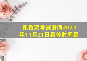 佩鲁贾考试时间2023年11月21日具体时间是