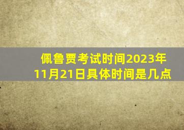 佩鲁贾考试时间2023年11月21日具体时间是几点