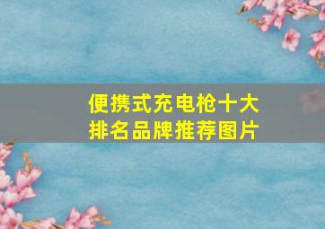 便携式充电枪十大排名品牌推荐图片