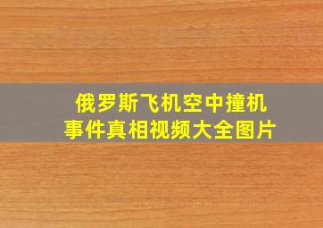 俄罗斯飞机空中撞机事件真相视频大全图片