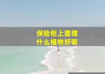 保险柜上面摆什么植物好呢