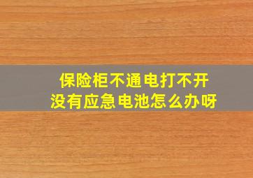 保险柜不通电打不开没有应急电池怎么办呀