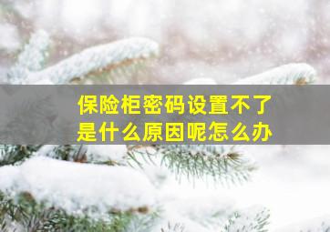 保险柜密码设置不了是什么原因呢怎么办