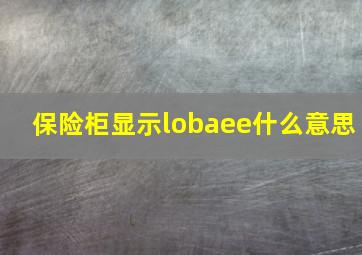 保险柜显示lobaee什么意思