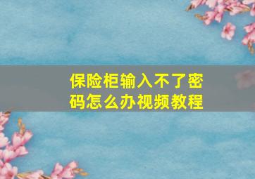 保险柜输入不了密码怎么办视频教程