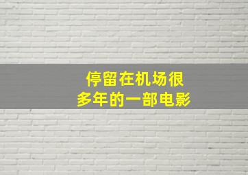 停留在机场很多年的一部电影