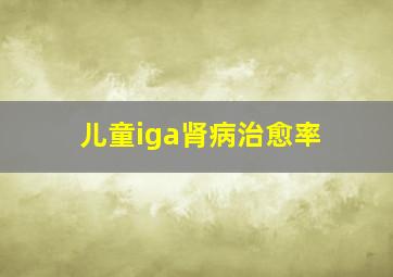 儿童iga肾病治愈率