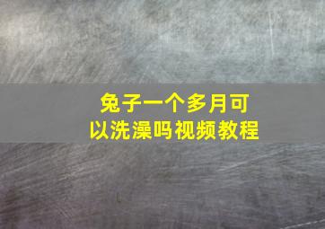 兔子一个多月可以洗澡吗视频教程