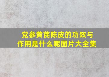 党参黄芪陈皮的功效与作用是什么呢图片大全集