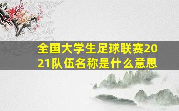 全国大学生足球联赛2021队伍名称是什么意思