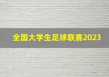 全国大学生足球联赛2023