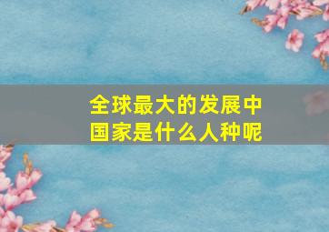 全球最大的发展中国家是什么人种呢