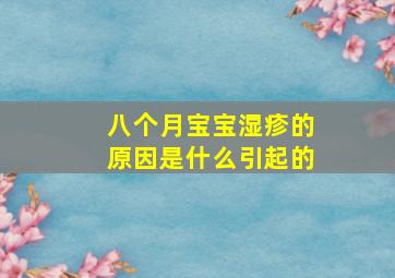 八个月宝宝湿疹的原因是什么引起的