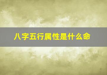 八字五行属性是什么命