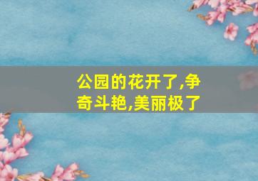 公园的花开了,争奇斗艳,美丽极了