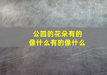 公园的花朵有的像什么有的像什么