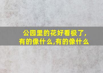 公园里的花好看极了,有的像什么,有的像什么