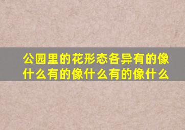 公园里的花形态各异有的像什么有的像什么有的像什么